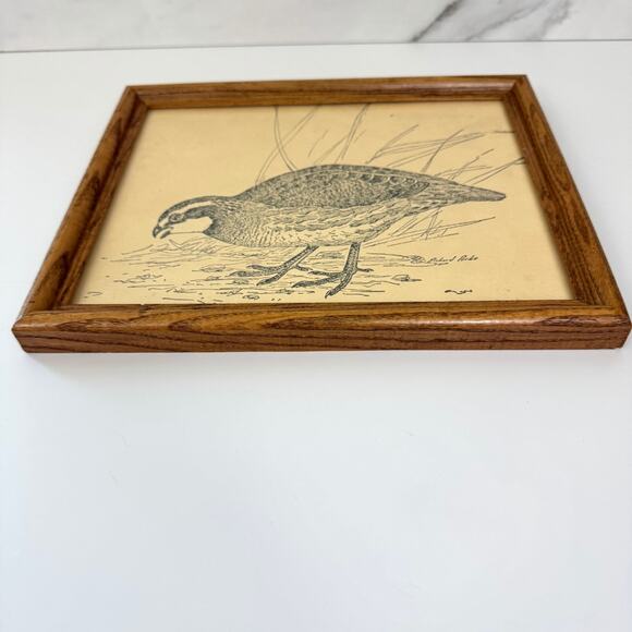 Richard A Parks Framed Bird Quail Illustratiion Illustrated Signed By Artist - Picture 2 of 7
